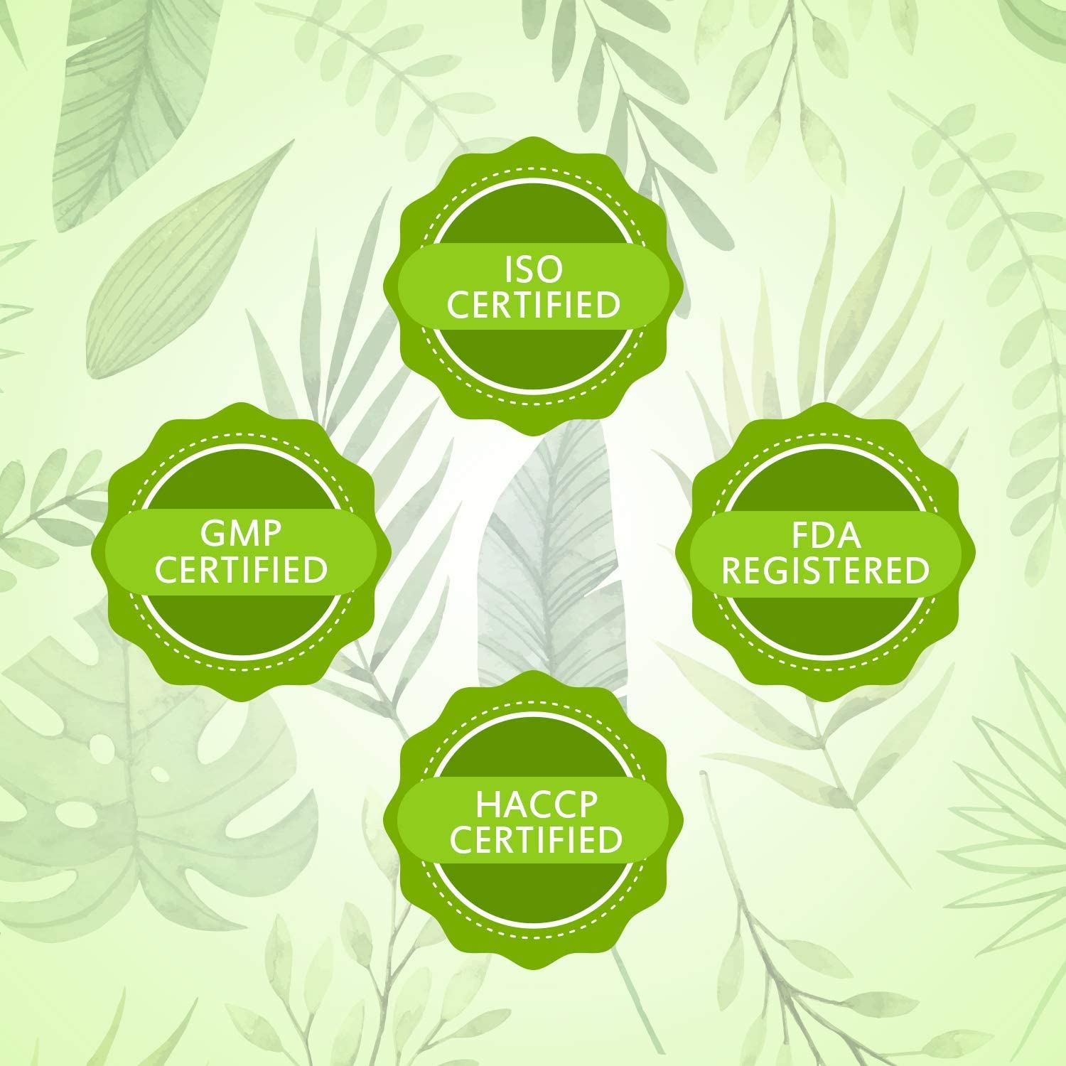 Deals4Goods Sushrut Ayurved Industries - Cinnamon Dietary Supplement (500mg X 60 Veg Capsules) - Die