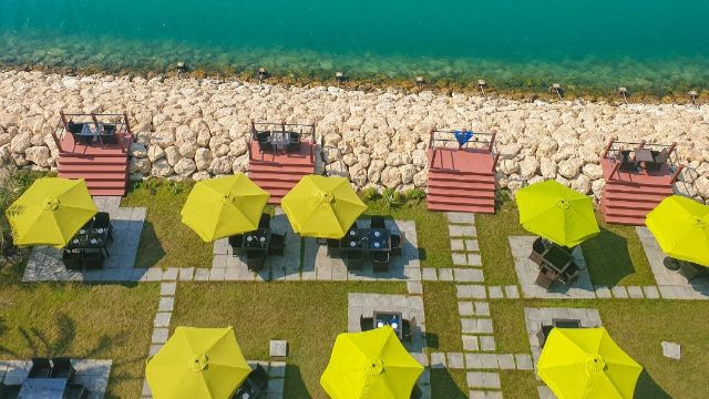 خصم 25% على البيتزا! discount at فينكس كافيه