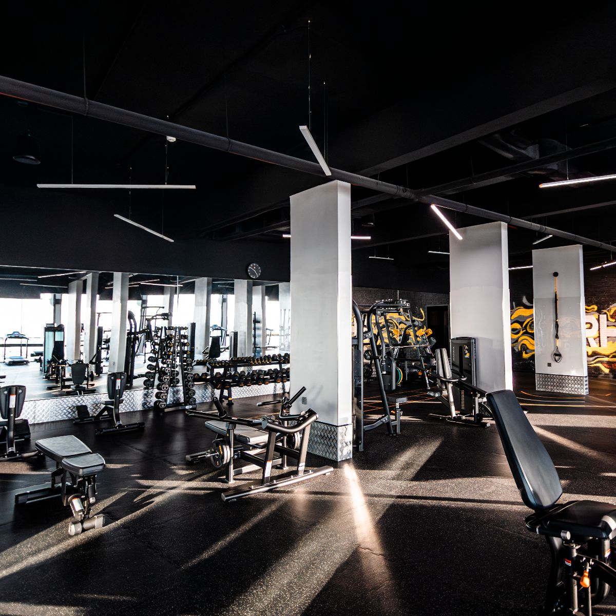 20% off 3 Months Membership! offer at Rhythm Ladies Health Club