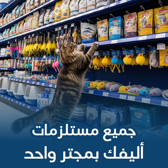 خصم ١٥% offer at نخبة القطط