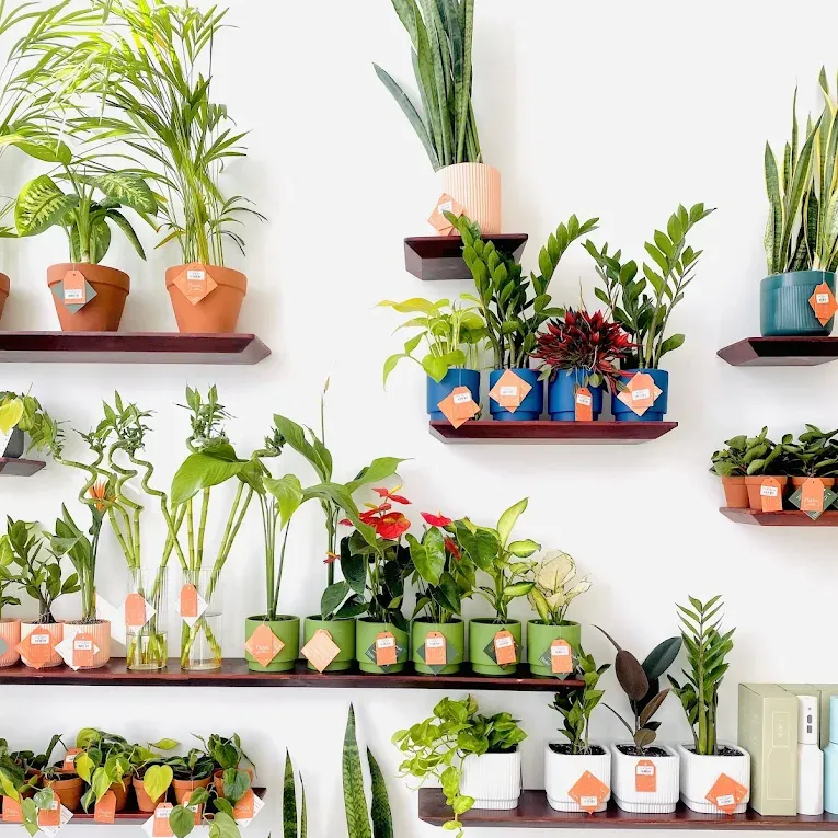 خصم ١٥٪؜ للقهوة و الحلا offer at بلافي