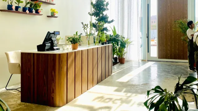 15% Off! coffee and sweet! discount at Plafee