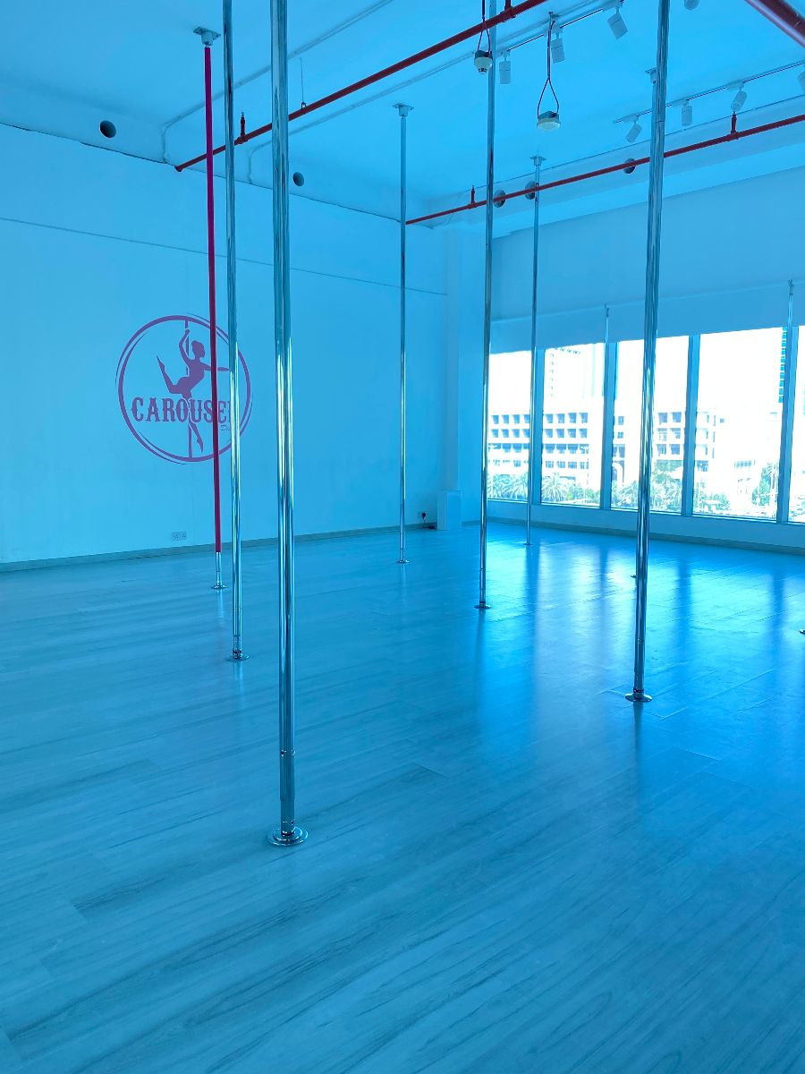 20% Off offer at CAROUSEL Aerial Arts & Fitness