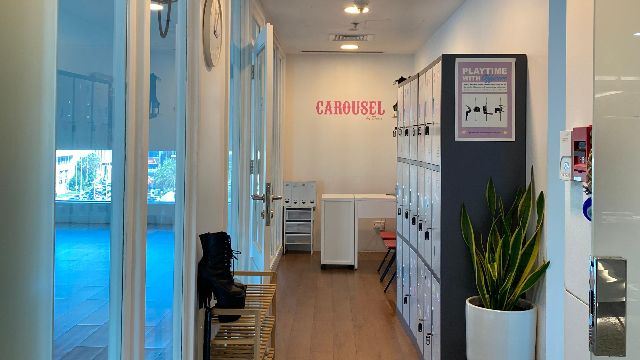 20% Off discount at CAROUSEL Aerial Arts & Fitness