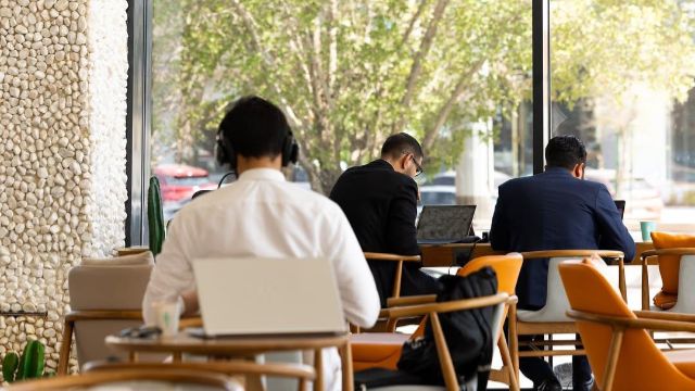 20% Off! discount at Cacti