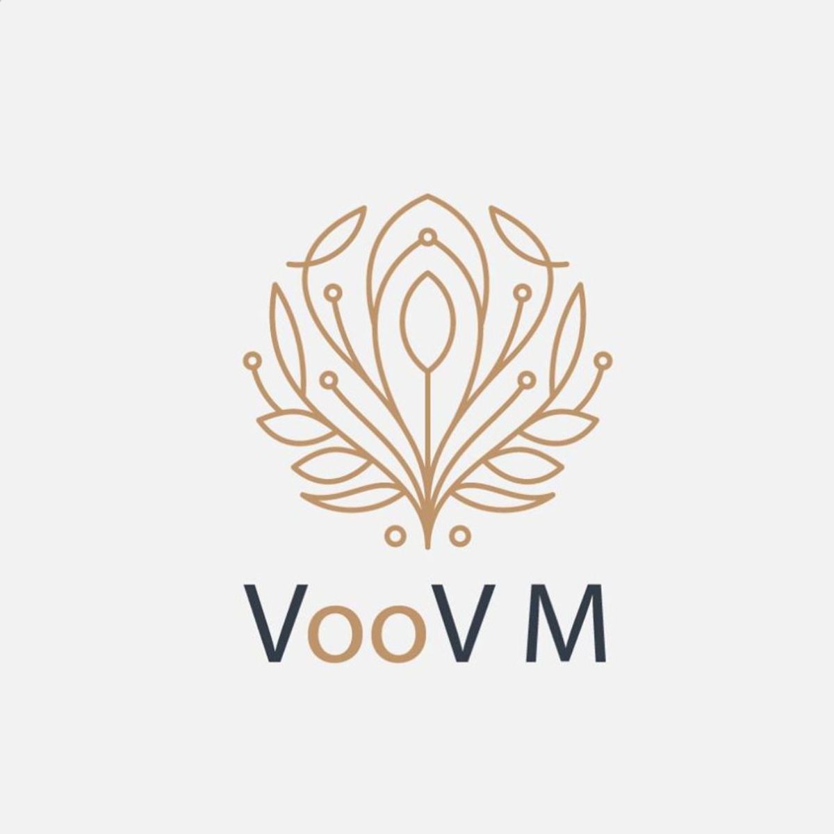 5% Off! offer at Voov M