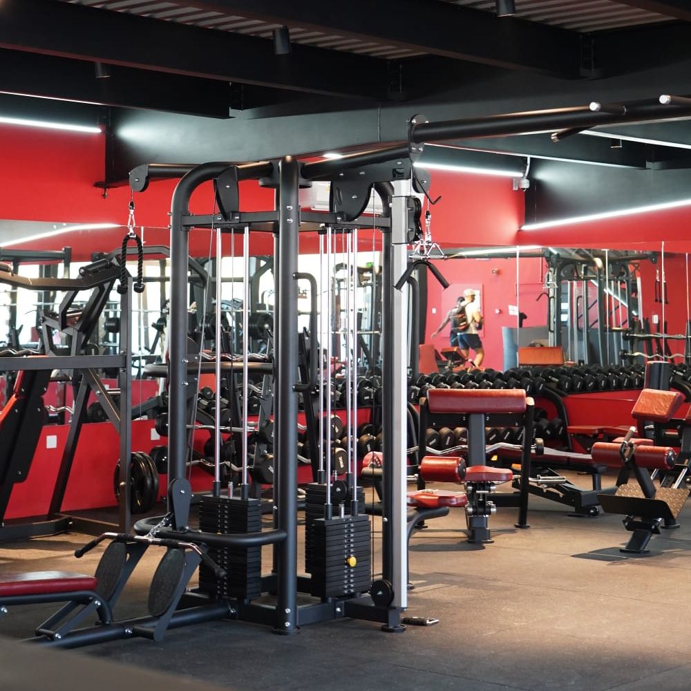 Buy 1 Get 1 Free for a Friend offer at Pinnacle Fitness