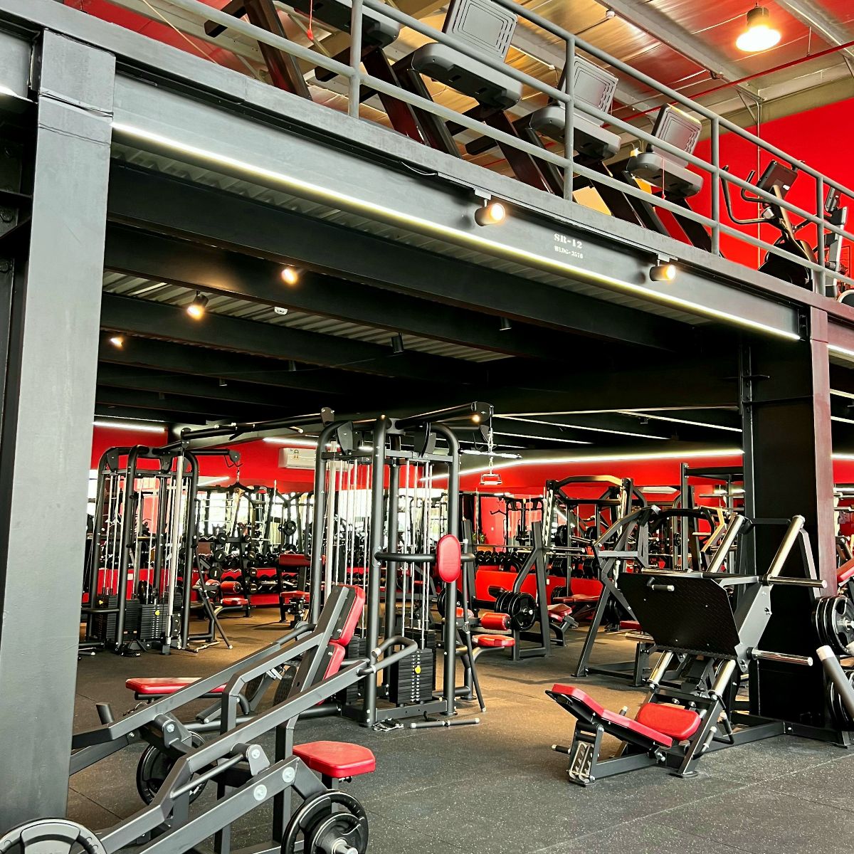 Buy 1 Get 1 Free for a Friend offer at Pinnacle Fitness